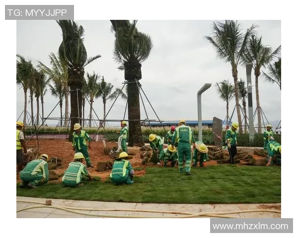 深圳排球队的蜕变与崛起：全国锦标赛背后的奋斗与坚持