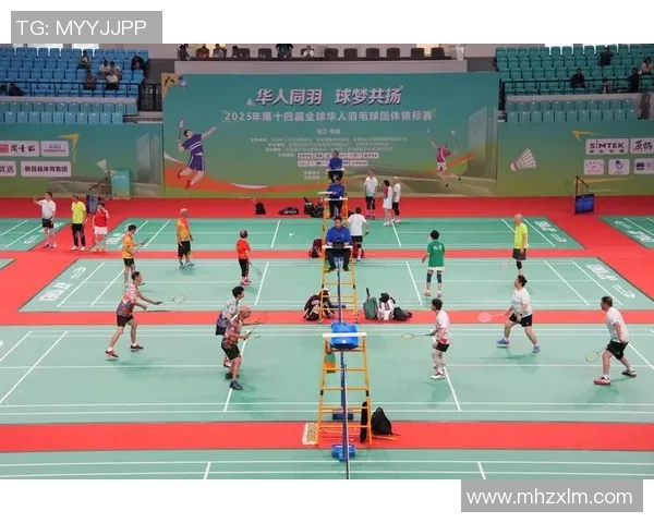 羽毛球焦点：深入分析杭州羽毛球队的心理素质与竞技表现关系